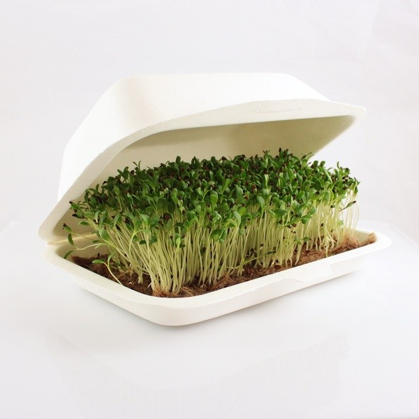 microbox alfalfa